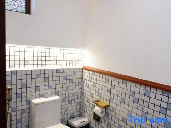 Hai Bot Home A100 - photo 4