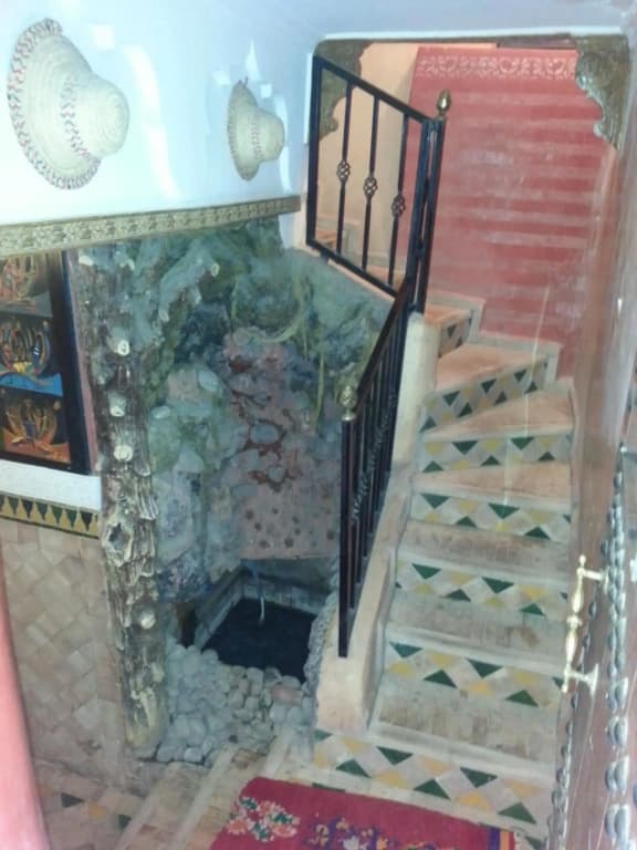 Riad Tarik - photo 4