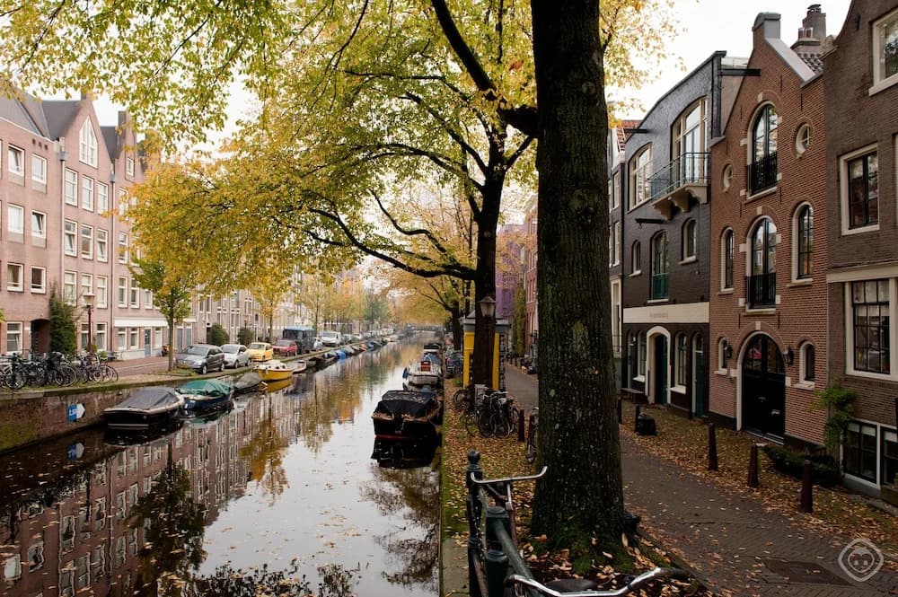 Lijnbaan Canal View Apartment - photo 10