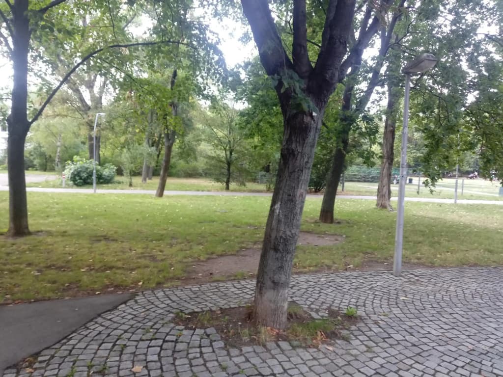 Vienna as it's best - photo 6