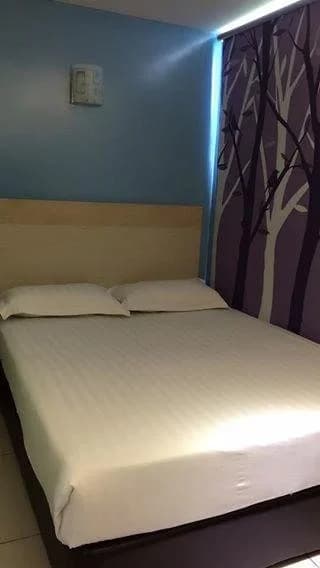 Dolphin Hotel - photo 12