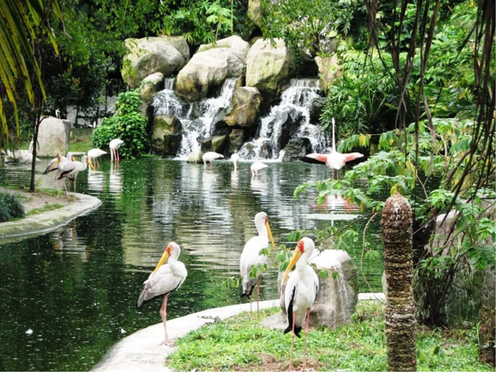 Hotel Caliber Kuala Lumpur - photo 12