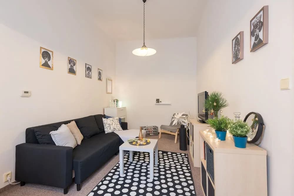 Vladislavova Apartments - photo 9