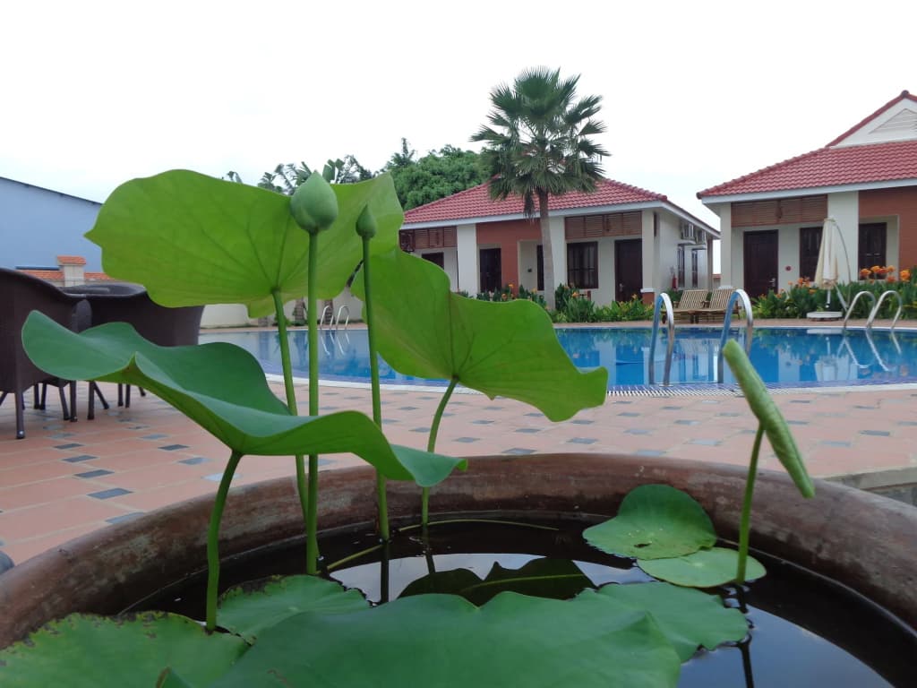 Bach Duong Phu Quoc Resort - photo 17