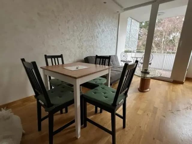 Schönbrunn Luxury Apartment - photo 11