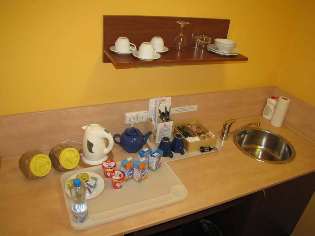 Aparthotel Austria Suites - photo 13