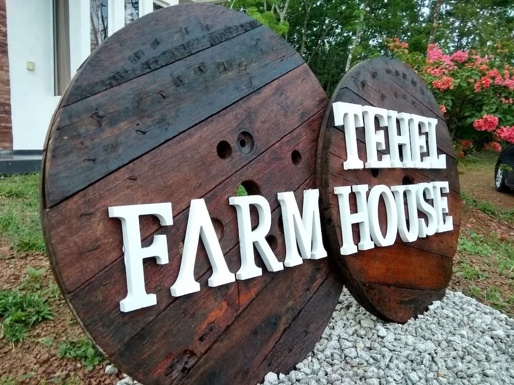 Tehel Farmhouse - photo 24