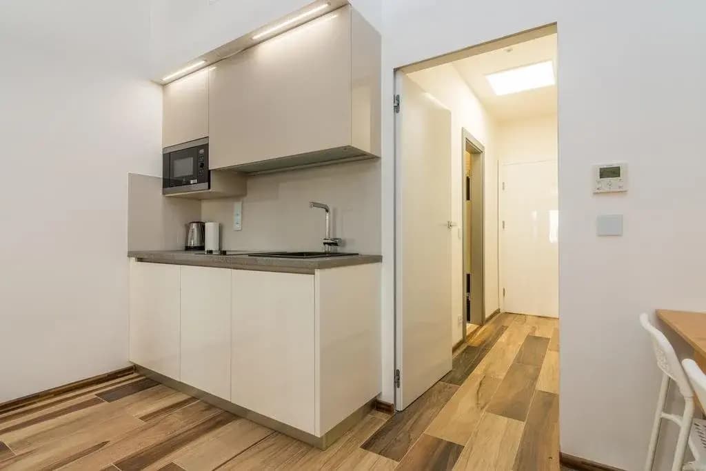 Bilkova Apartments - photo 28