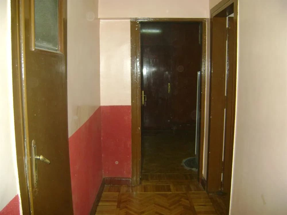Isis - photo 16