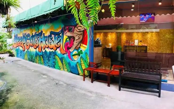Sleepcats Hostel - photo 23