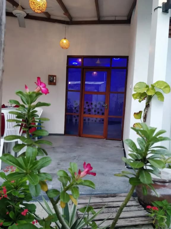 Alkina Lodge Hotel - photo 23