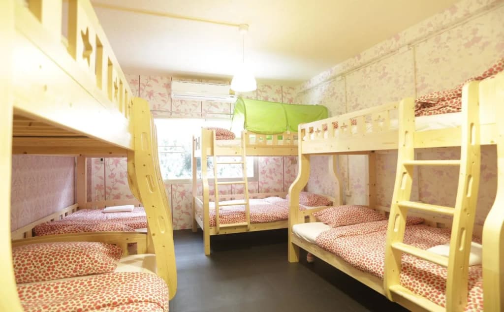 Tiger Lily Hostel - photo 5