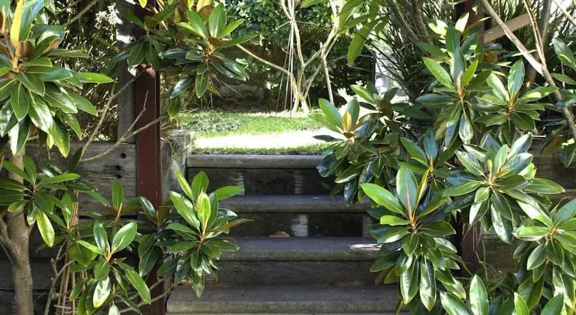Bronte Sea Garden Tranquil Apartment - photo 4