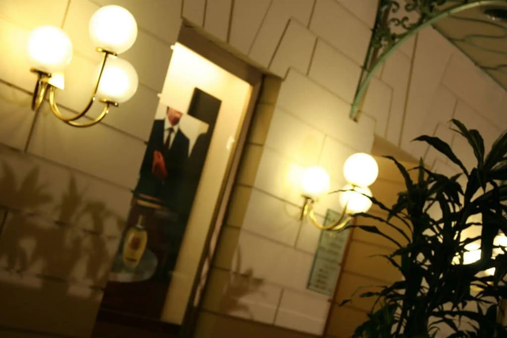 Albert Hotel - photo 15
