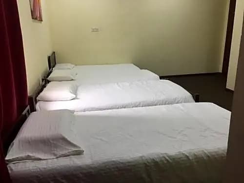 Times Traveller Lodge - photo 3