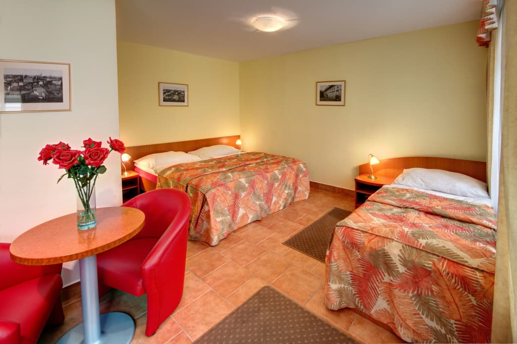 Hotel Seifert - photo 34