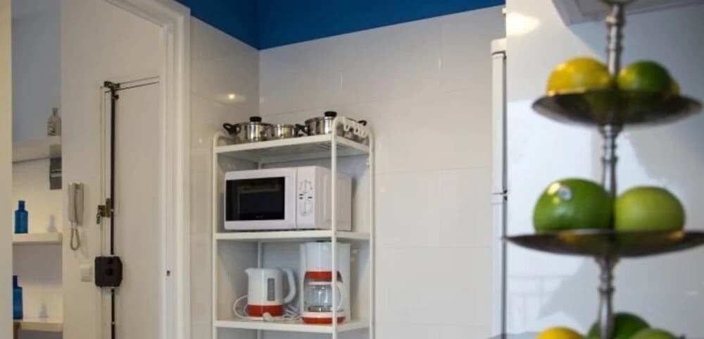 Alcam Rogent - photo 13