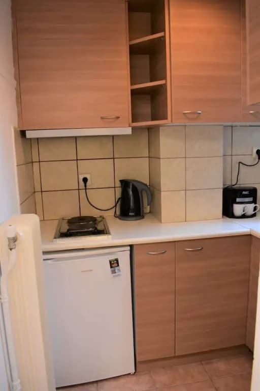 Small & Cozy Flat near Hospitals - photo 8
