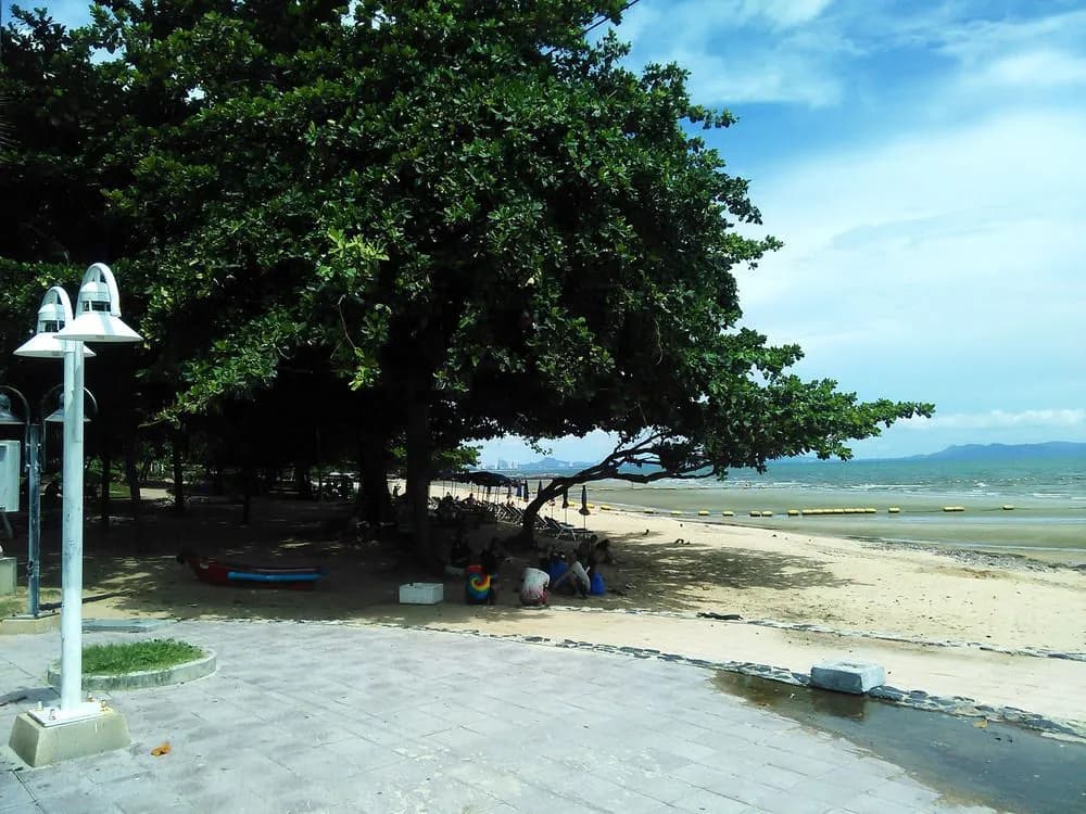 Samal Guesthouse - photo 14