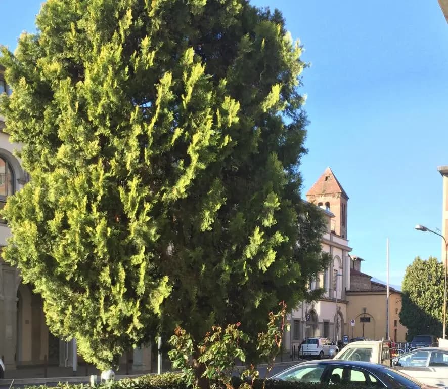 San Donato Flat - photo 9