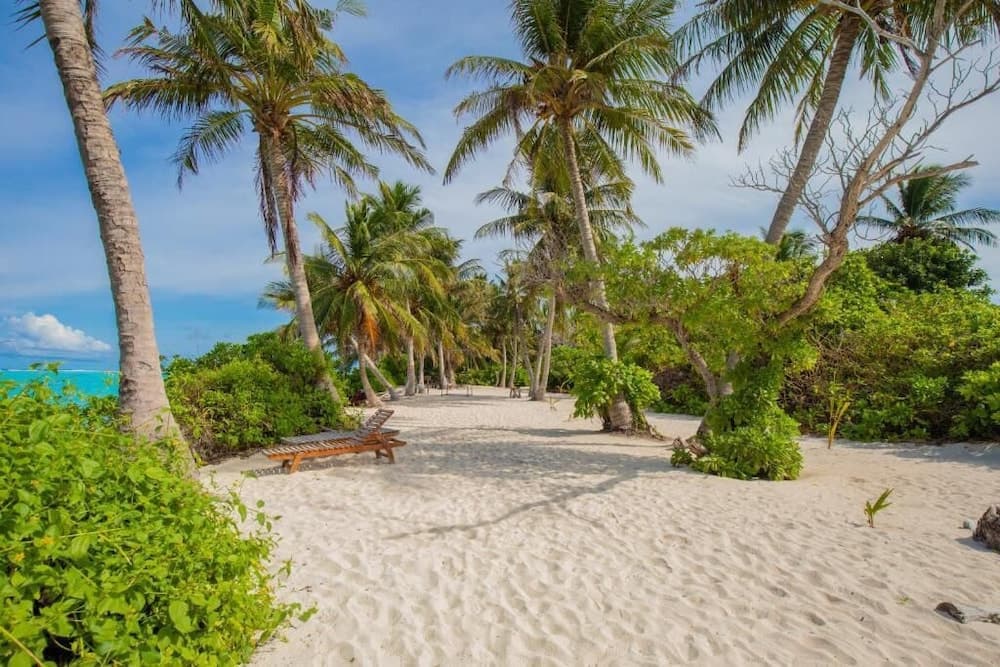 Hi Heaven Maldives - photo 20