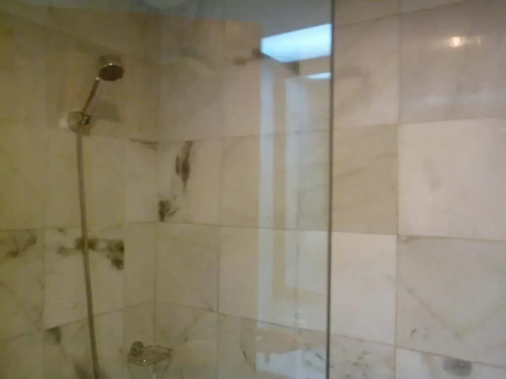 Pelican Hotel - photo 7