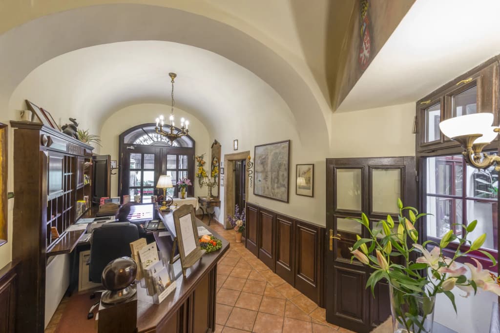 Hotel Cerny Slon - photo 19