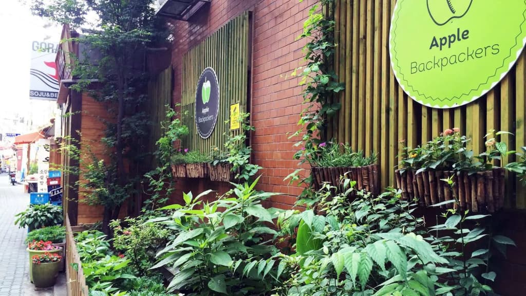 Apple Backpackers - photo 15
