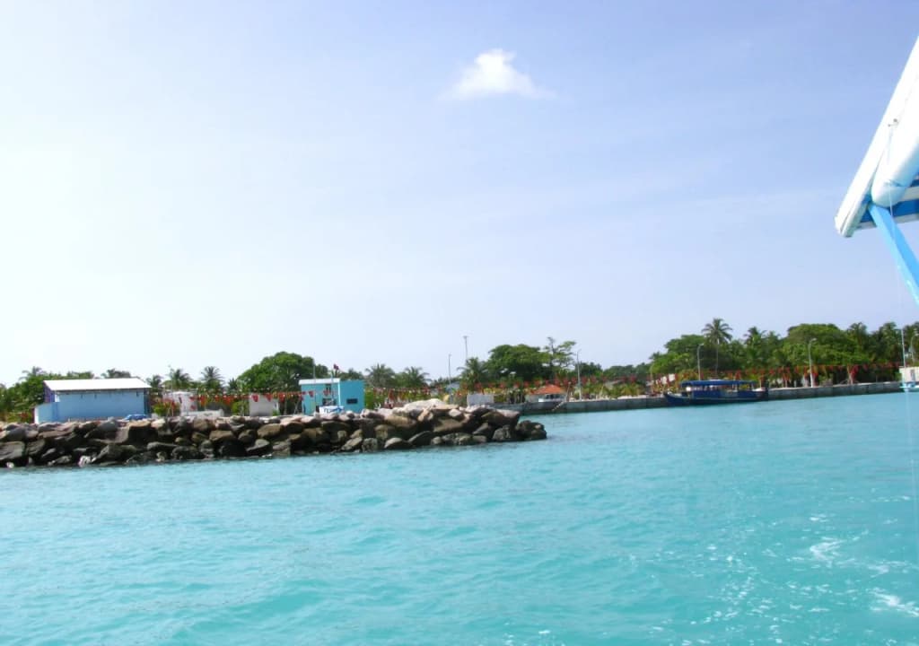Tropical Lodge - photo 3