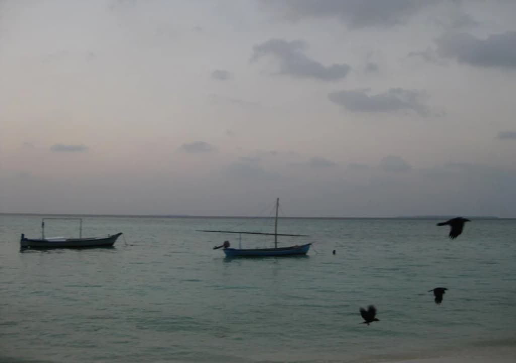 Tropical Lodge - photo 5