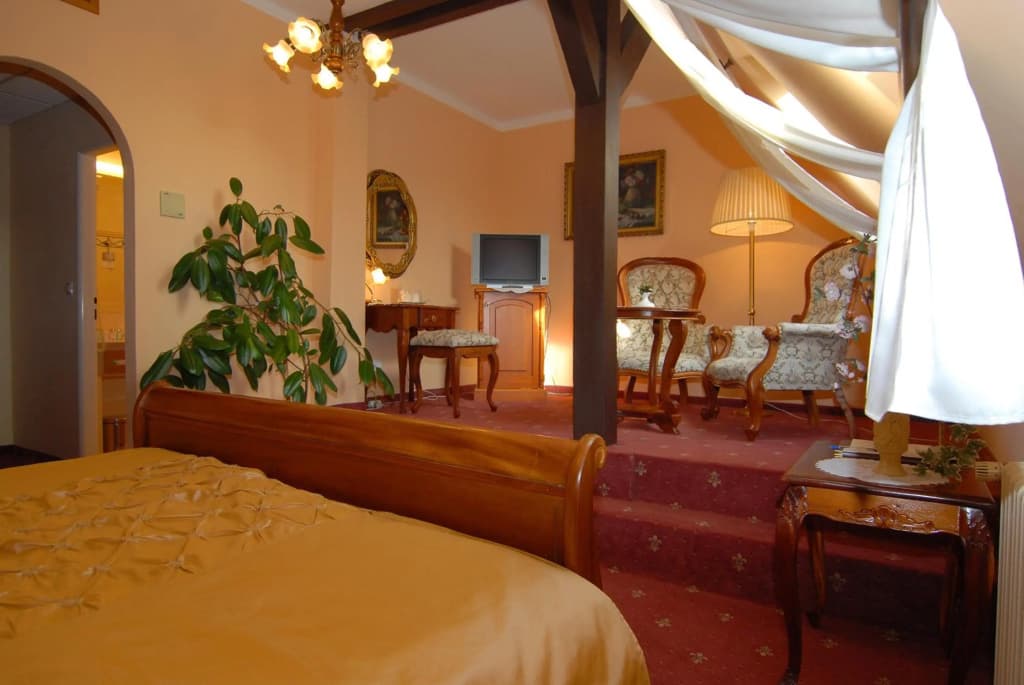 Opera Hotel - photo 19