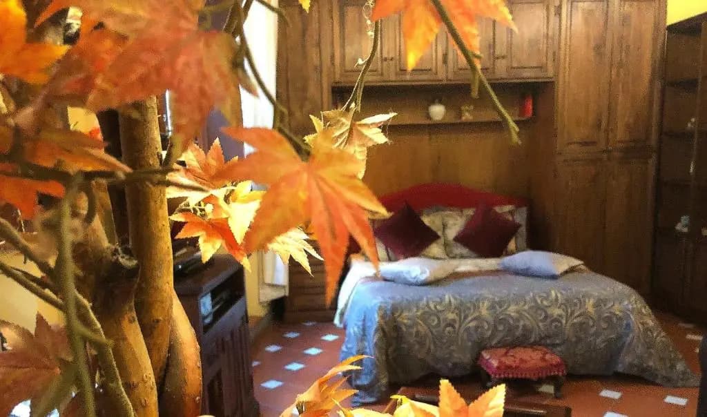 Cozy Apartment In Central Position - photo 6