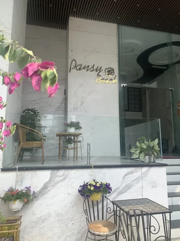 Pansy Beach Hotel - photo 5