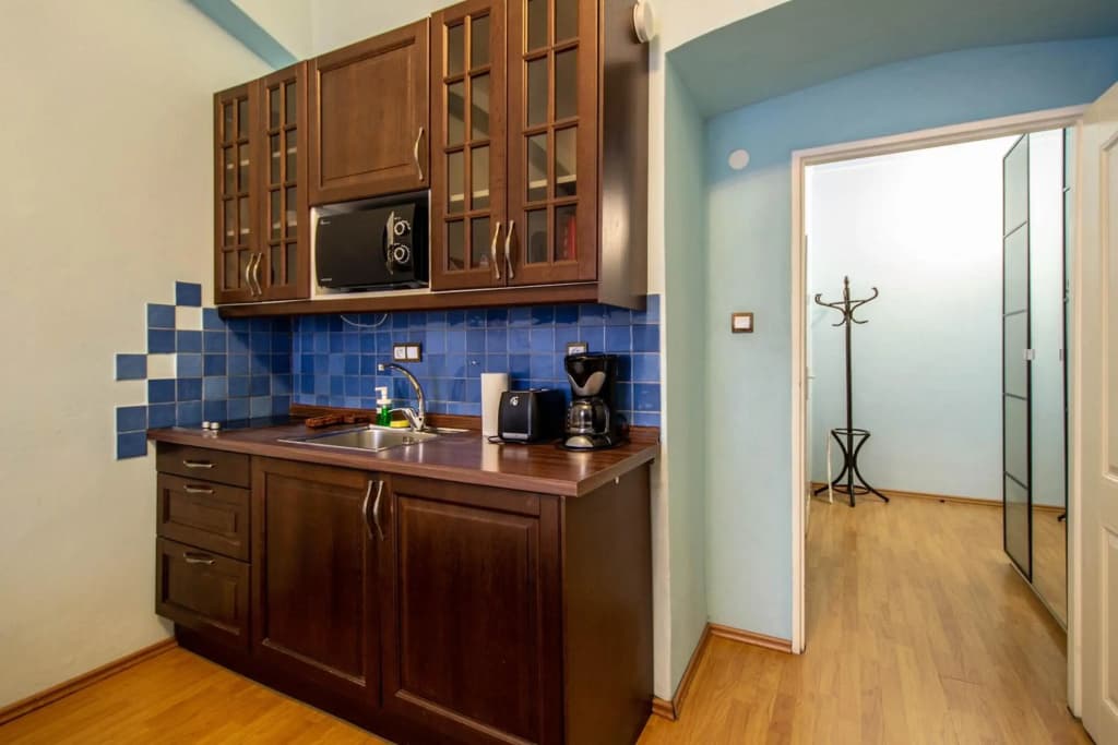Ruterra Apartment Cimburkova - photo 2