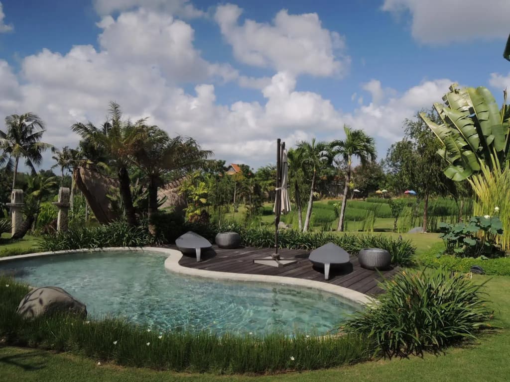 Villa Hawa Sawah - photo 11