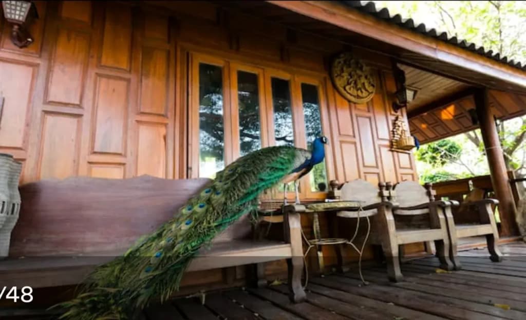 Sunny Stone Villa - photo 3