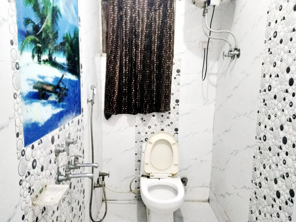 Hotel Maanvi - photo 8