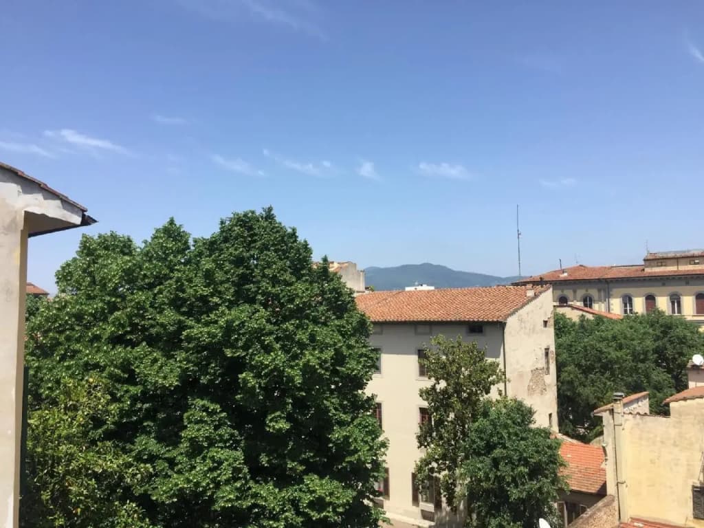 Hotel Aline - photo 14