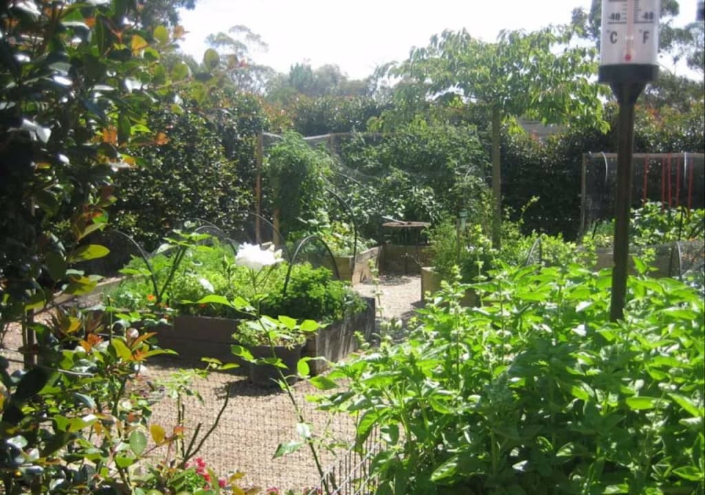 The Guest Room Mt. Martha - photo 23