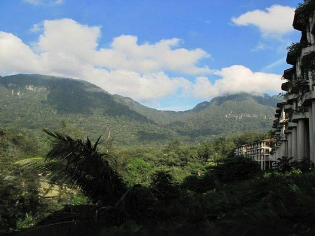 Damai Beach Resort - photo 23