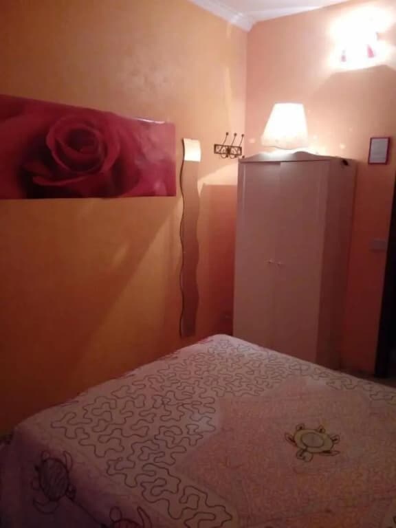 Max House Bed & Breakfast - photo 18