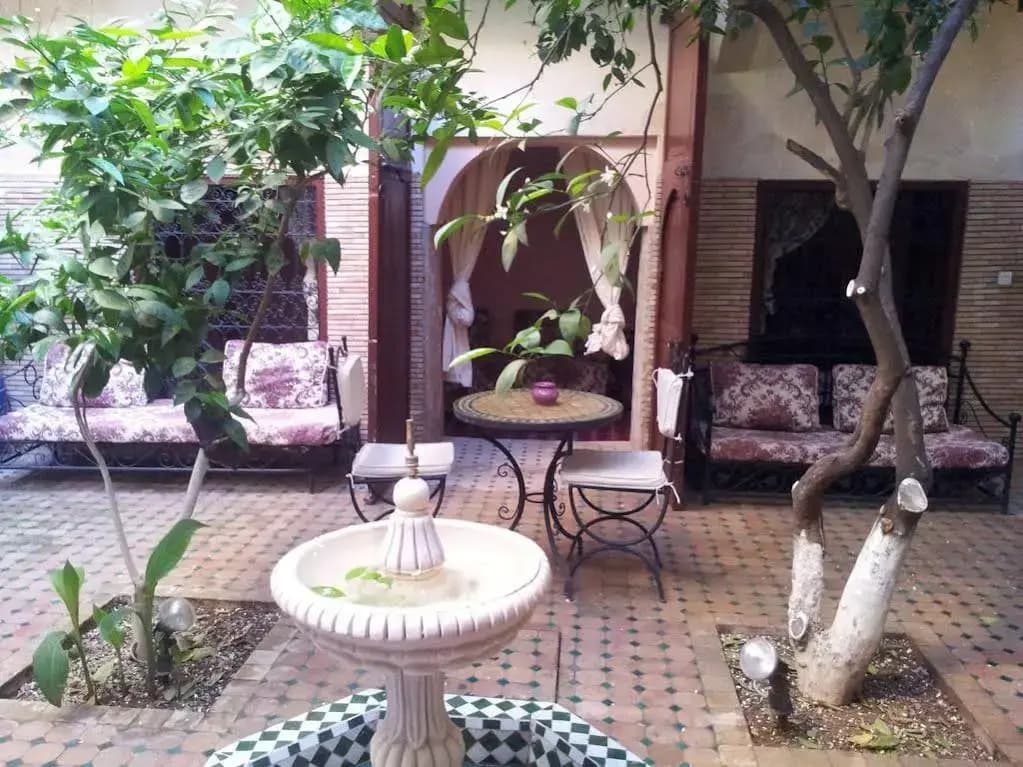 Riad Adraoui - photo 22