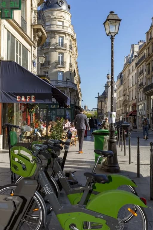 Perfection by the Palais Royal - photo 14