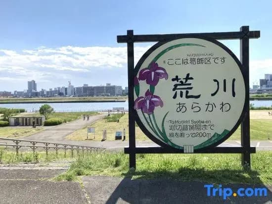 Nagomi An - photo 5
