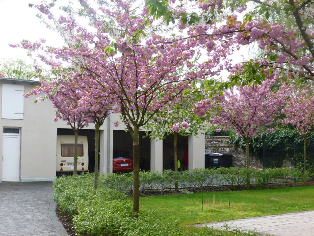 Hotel Mit-Mensch - photo 14