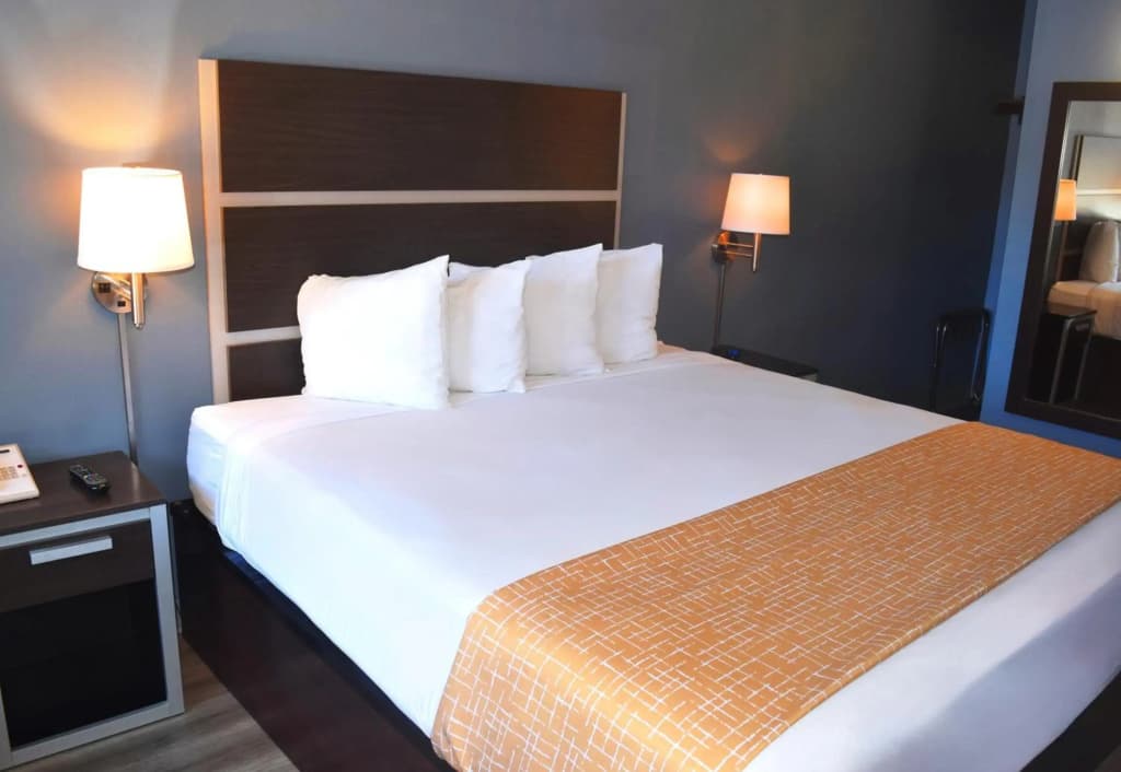 SF Central Hotel - photo 3