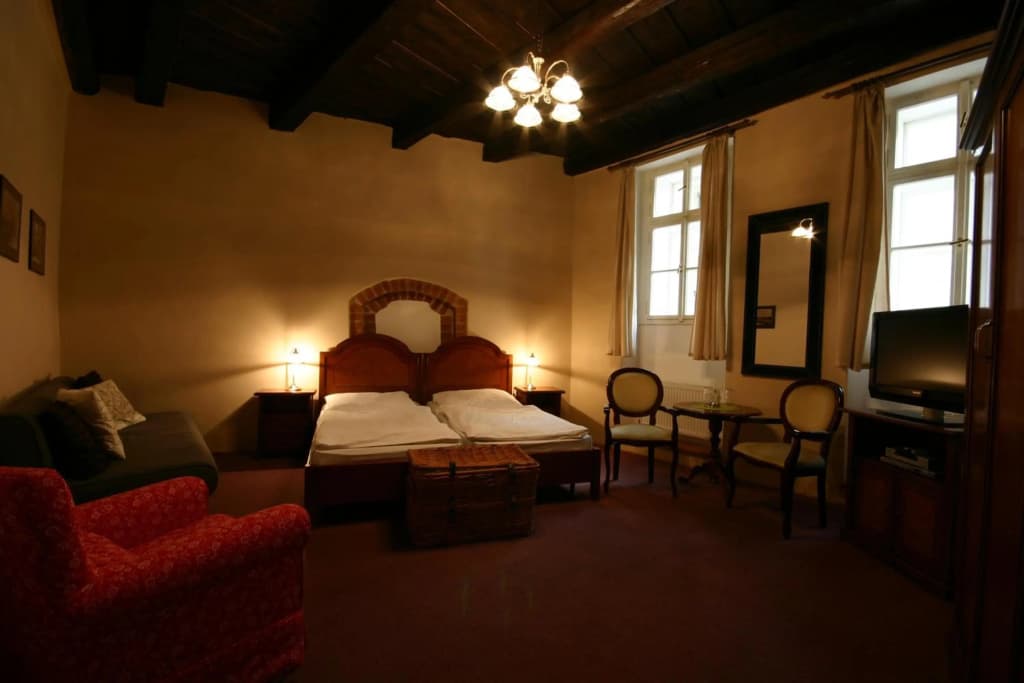 Hotel & Residence U Tri Bubnu - photo 19