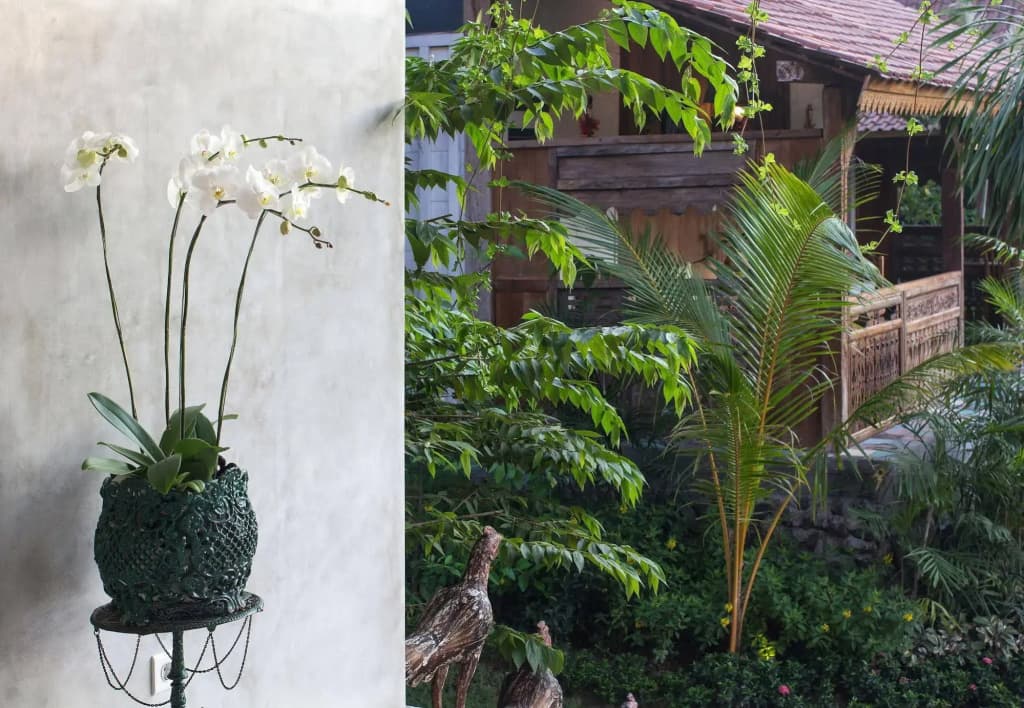 Umakayu Bali - photo 14