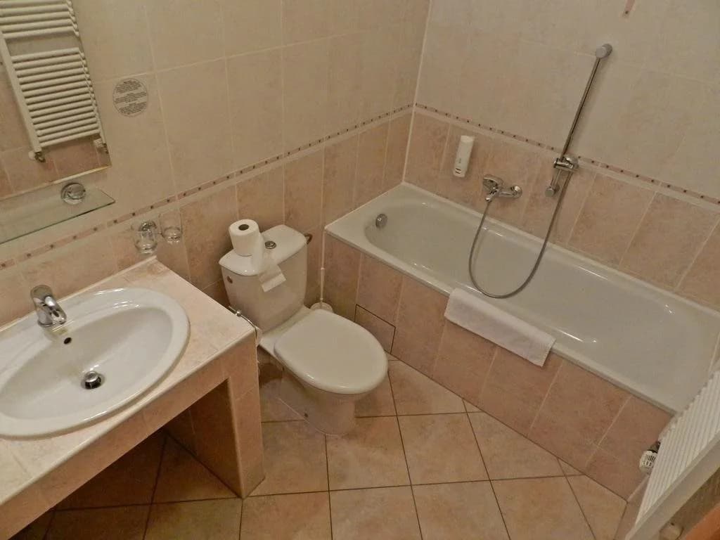Alton Hotel Prague - photo 10