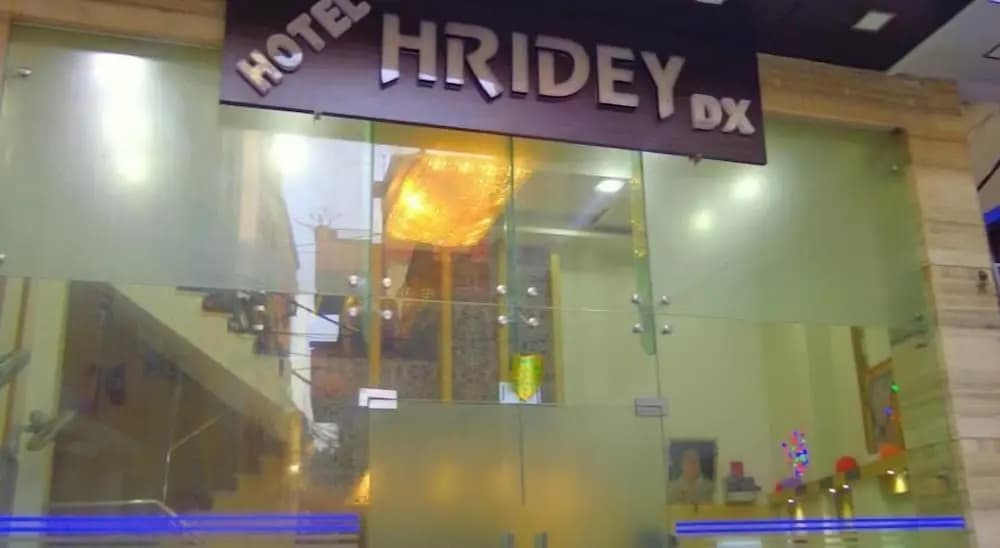 Hotel Hridey Dx - photo 1